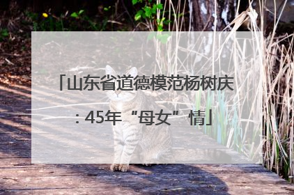 山东省道德模范杨树庆：45年“母女”情