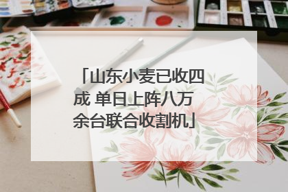 山东小麦已收四成 单日上阵八万余台联合收割机