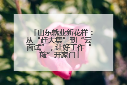 山东就业新花样：从“赶大集”到“云面试”，让好工作“敲”开家门