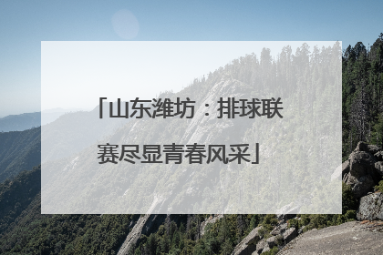 山东潍坊：排球联赛尽显青春风采
