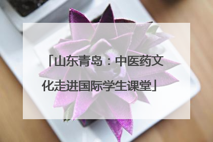 山东青岛：中医药文化走进国际学生课堂