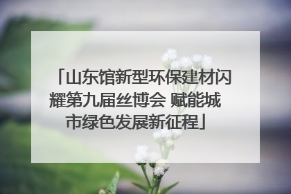 山东馆新型环保建材闪耀第九届丝博会 赋能城市绿色发展新征程