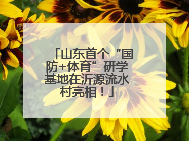 山东首个“国防+体育”研学基地在沂源流水村亮相！