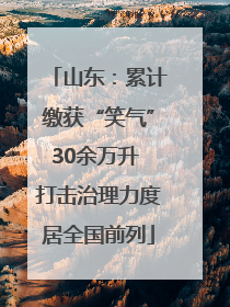 山东：累计缴获“笑气”30余万升 打击治理力度居全国前列