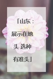 山东：展示在地头 选种有准头