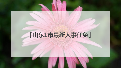 山东1市最新人事任免
