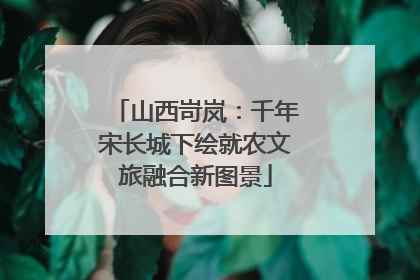 山西岢岚：千年宋长城下绘就农文旅融合新图景