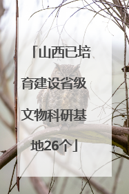 山西已培育建设省级文物科研基地26个