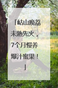 岵山晚荔未熟先火，7个月慢养爆汁蜜果！