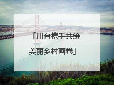 川台携手共绘美丽乡村画卷