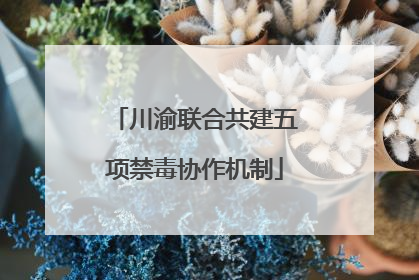 川渝联合共建五项禁毒协作机制