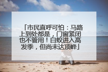 市民直呼可怕：马路上到处都是，门窗紧闭也不管用！白蚁进入高发季，但尚未达顶峰