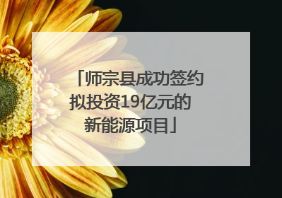 师宗县成功签约拟投资19亿元的新能源项目
