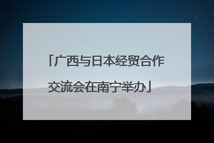 广西与日本经贸合作交流会在南宁举办