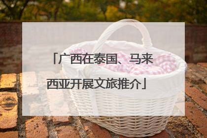 广西在泰国、马来西亚开展文旅推介