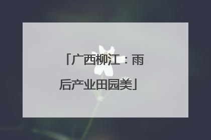 广西柳江：雨后产业田园美