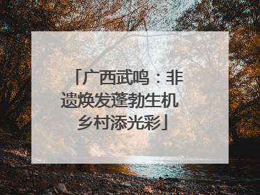 广西武鸣：非遗焕发蓬勃生机 乡村添光彩