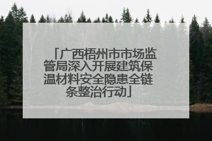 广西梧州市市场监管局深入开展建筑保温材料安全隐患全链条整治行动