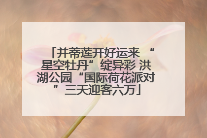 并蒂莲开好运来 “星空牡丹”绽异彩 洪湖公园“国际荷花派对”三天迎客六万
