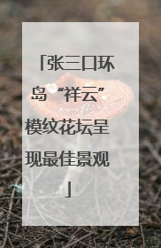 张三口环岛“祥云”模纹花坛呈现最佳景观