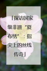 探访国家级非遗“夏布绣”：指尖上的丝线传奇