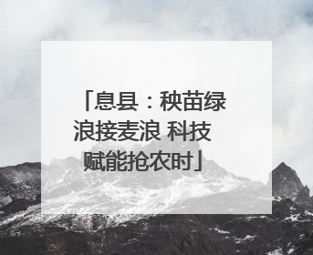 息县：秧苗绿浪接麦浪 科技赋能抢农时