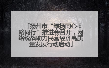 扬州市“绿扬同心·E路同行”推进会召开，网络统战助力民营经济高质量发展行动启动