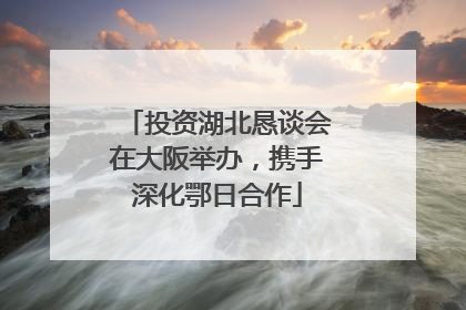 投资湖北恳谈会在大阪举办，携手深化鄂日合作