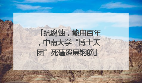 抗腐蚀，能用百年，中南大学“博士天团”死磕覆层钢筋