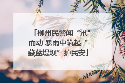 柳州民警闻“汛”而动 暴雨中筑起“藏蓝堤坝”护民安