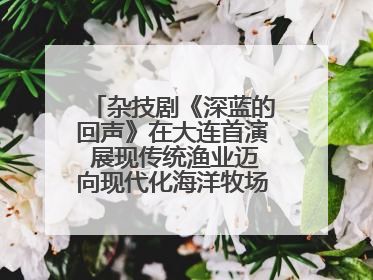 杂技剧《深蓝的回声》在大连首演 展现传统渔业迈向现代化海洋牧场奋斗历程