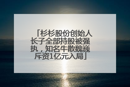 杉杉股份创始人长子全部持股被强执，知名牛散魏巍斥资1亿元入局