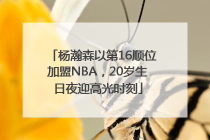 杨瀚森以第16顺位加盟NBA，20岁生日夜迎高光时刻