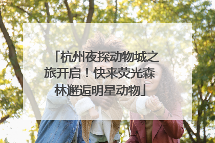 杭州夜探动物城之旅开启！快来荧光森林邂逅明星动物