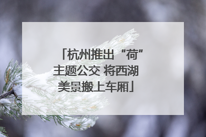 杭州推出“荷”主题公交 将西湖美景搬上车厢