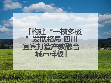 构建“一核多极”发展格局 四川宜宾打造产教融合城市样板