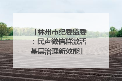 林州市纪委监委：民声微信群激活基层治理新效能