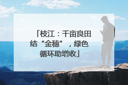 枝江：千亩良田结“金穗”，绿色循环助增收
