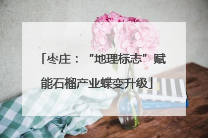 枣庄：“地理标志”赋能石榴产业蝶变升级