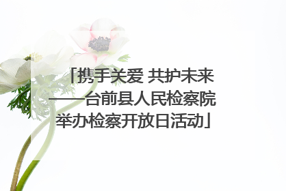 携手关爱 共护未来——台前县人民检察院举办检察开放日活动