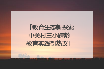 教育生态新探索 中关村三小跨龄教育实践引热议