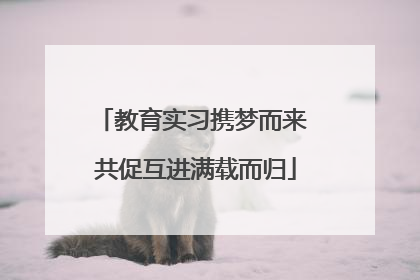 教育实习携梦而来 共促互进满载而归