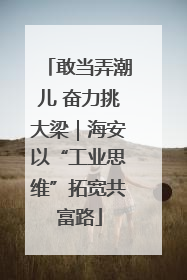 敢当弄潮儿 奋力挑大梁｜海安以“工业思维”拓宽共富路