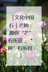 文化中国行｜芒种：愿你“芒”有所获，“种”有所得