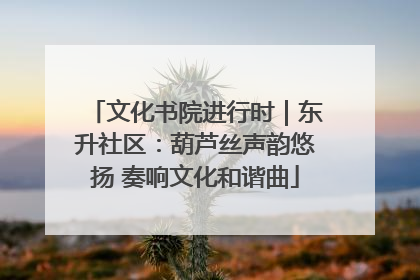 文化书院进行时｜东升社区：葫芦丝声韵悠扬 奏响文化和谐曲