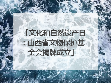 文化和自然遗产日：山西省文物保护基金会揭牌成立