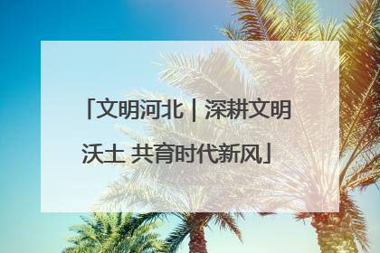 文明河北｜深耕文明沃土 共育时代新风