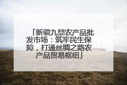 新疆九鼎农产品批发市场：筑牢民生保障，打通丝绸之路农产品贸易枢纽