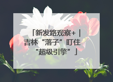 新发路观察+｜吉林“落子”盯住“超级引擎”
