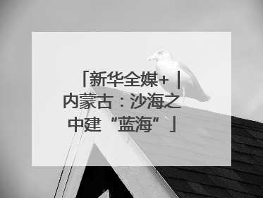 新华全媒+｜内蒙古：沙海之中建“蓝海”